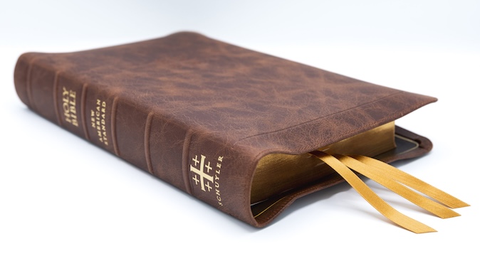 Premium Bible of your choice